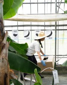 株式会社熊本青果物出荷組合について