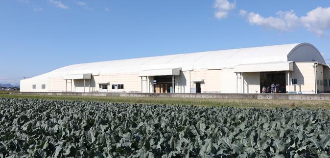 株式会社熊本青果物出荷組合