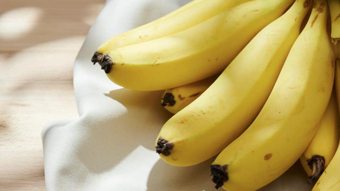 手塩にかけた無農薬国産バナナ