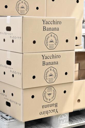やっちろ汐バナナは品質に妥協せず、環境への負荷も考慮しています