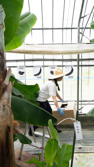 持続可能な農業を実現