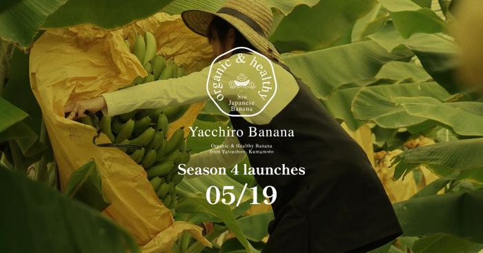 5月19日より、第4期「汐バナナ」の発売を開始いたします