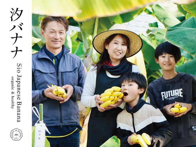 バナナ愛好家さまにおすすめ!国産高級無農薬 やっちろ汐バナナ20本セット