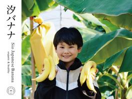 「無農薬栽培」で､やっちろバナナが育つまで