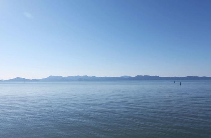 不知火海