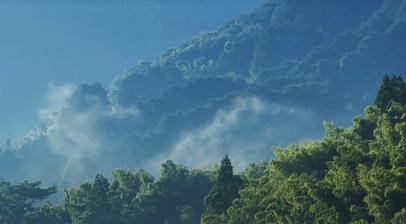 熊本県八代の自然