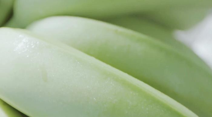 やっちろ汐バナナの栄養素と美容への影響